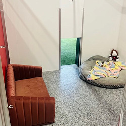 Extra Large Premium Suite